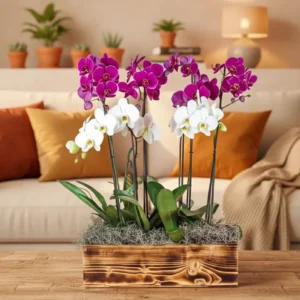 fallecimiento-sentido-pesame Fallecimiento sentido pesame con orquídeas premium en arreglo floral elegante
